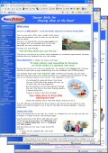 Original website